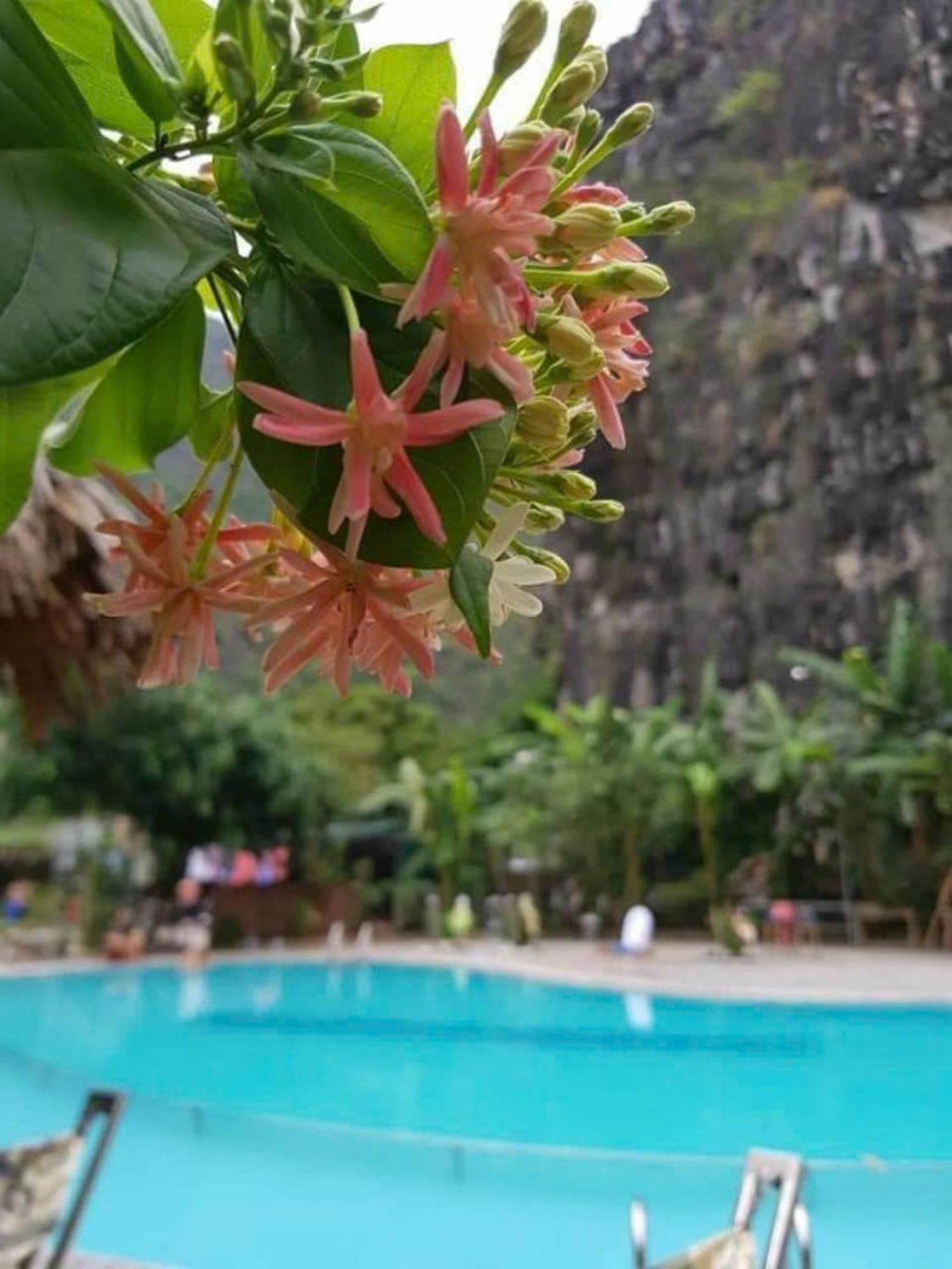 Hoalu Backpacker Homestay Ninh Binh Dış mekan fotoğraf