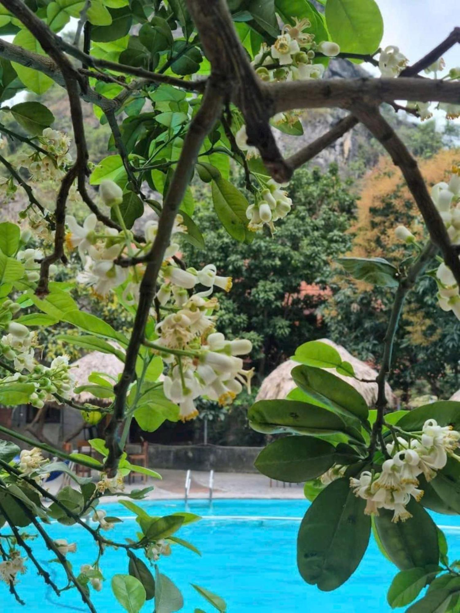 Hoalu Backpacker Homestay Ninh Binh Dış mekan fotoğraf