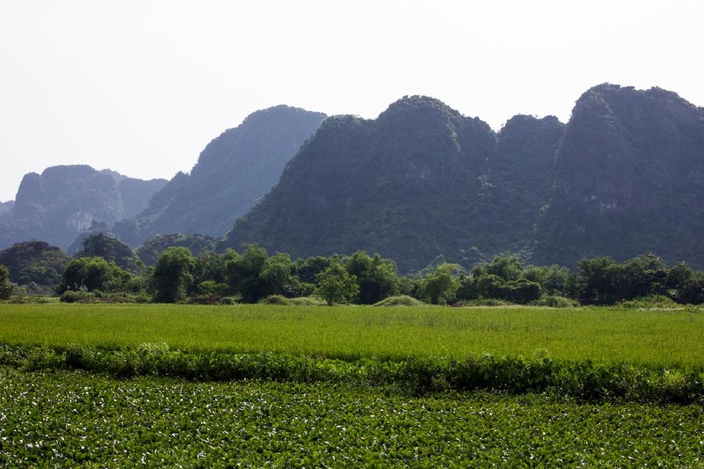 Hoalu Backpacker Homestay Ninh Binh Dış mekan fotoğraf